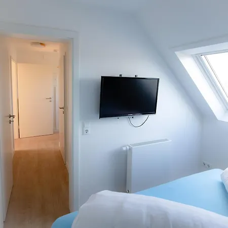 Seemoewe * Carolinensiel